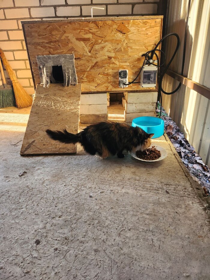 Котодом по программе "доступное жулье"