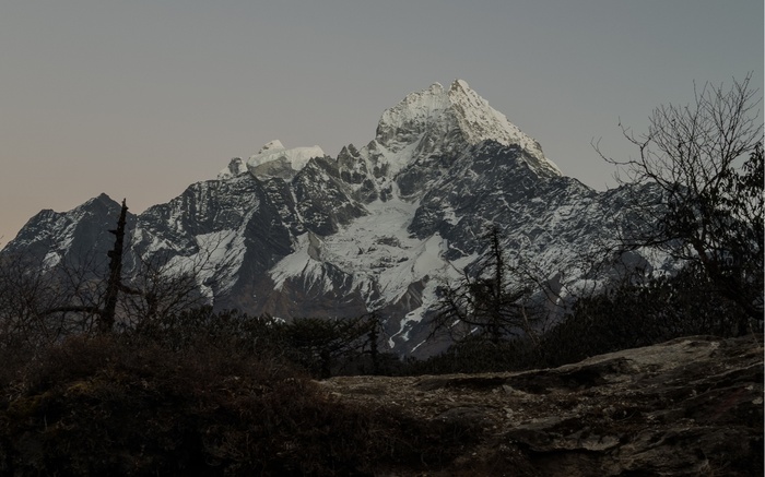 Kusum Kangguru 6367� ����� ����� ������