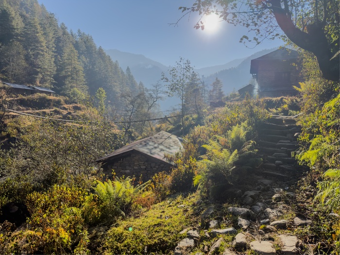 ����� 9 ���� ������ ����� ���� ����� ����� � ����� ��� �����