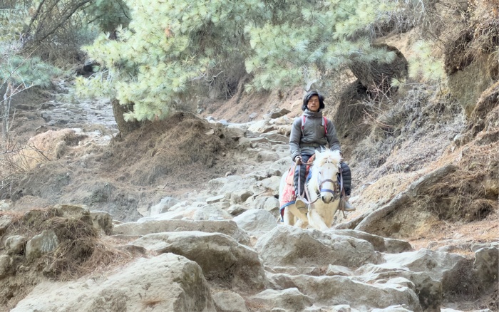 ������ �� ����� ����