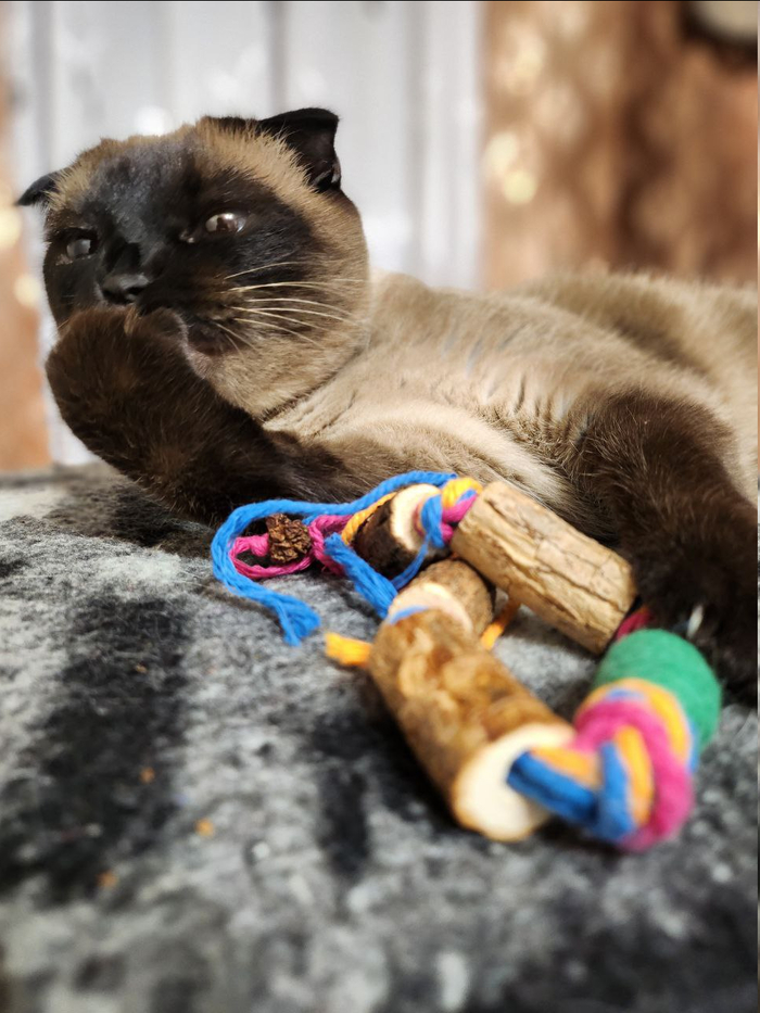 Хорошо когда нет гостей, особенно дерущихся!