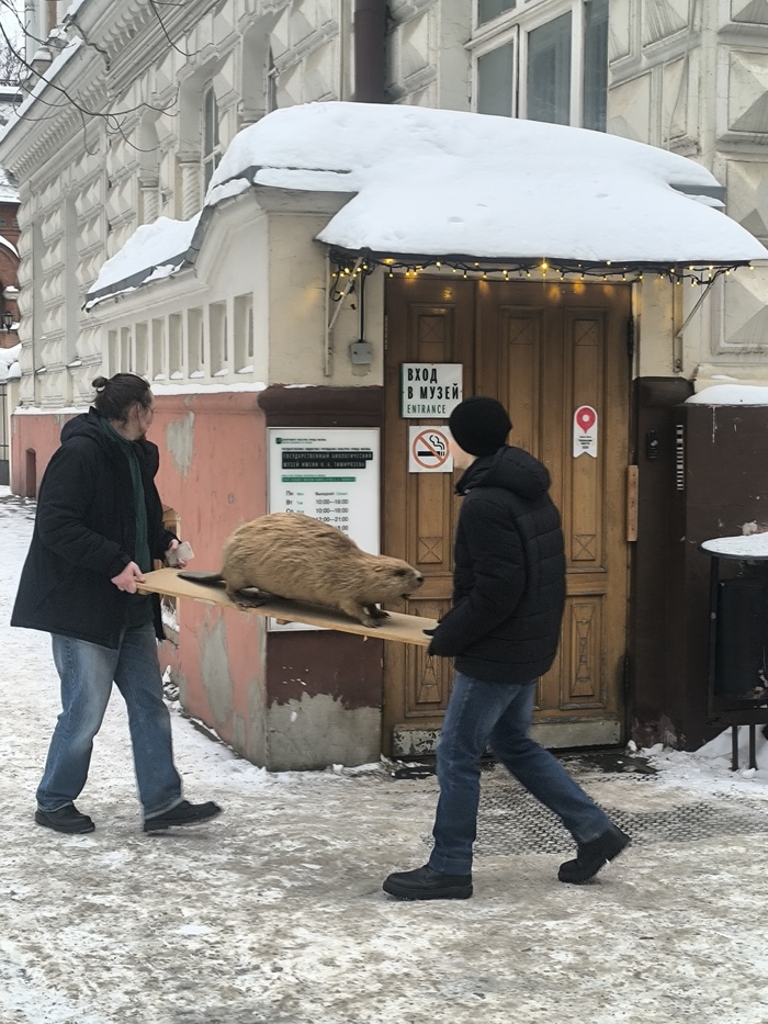 ��������, ��� ��������� ����� ���� (?)