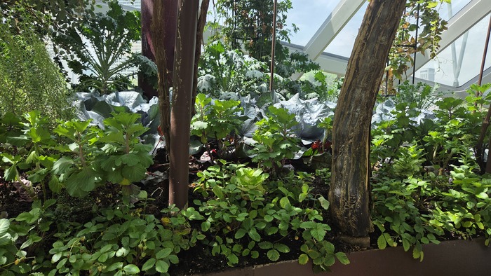 ������������ ��� �������� ��������: �������, �����, ���������, ������ ������ ���� ������������....