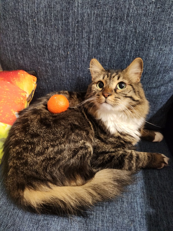 ���������� ������� #178