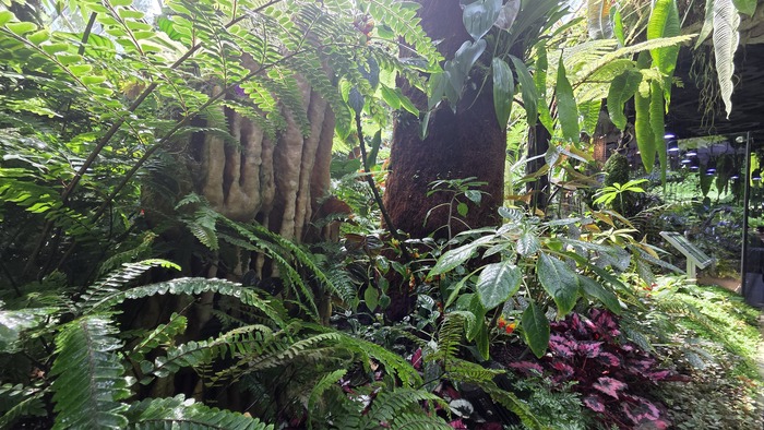 ��� �� ��� ���������� ����