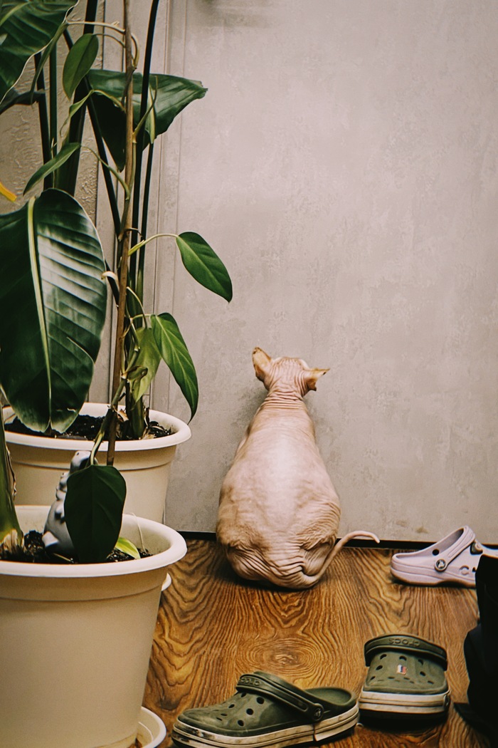 ��� ����� ���� �� ���