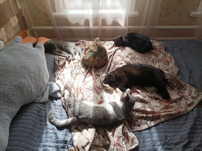 ��������?