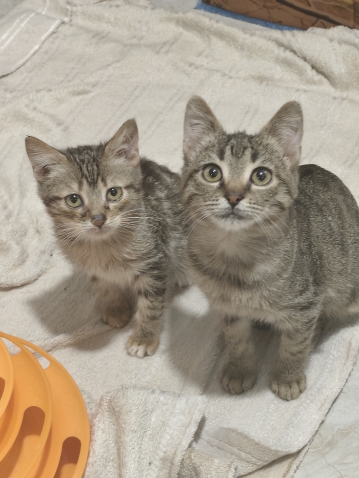 ���� ���������� � ��������������