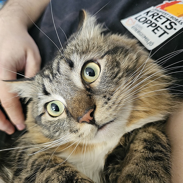 ����� �����, ��� ���� ������ �����...