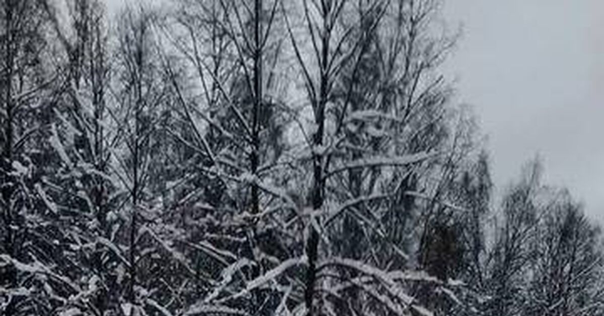 Elk Biological Station. Deer Trail. Deer, Part 3 - My, Rutube, Short videos, Elk Island, Deer, Travels, Video