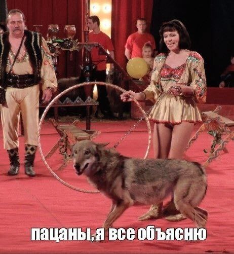 Всякое бывает
