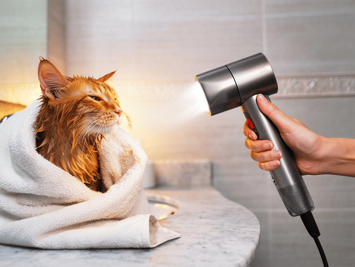 ������� ������ ����� ��� ����� 2026: ���-22 ������ �� ���� � �������� � ������� �����