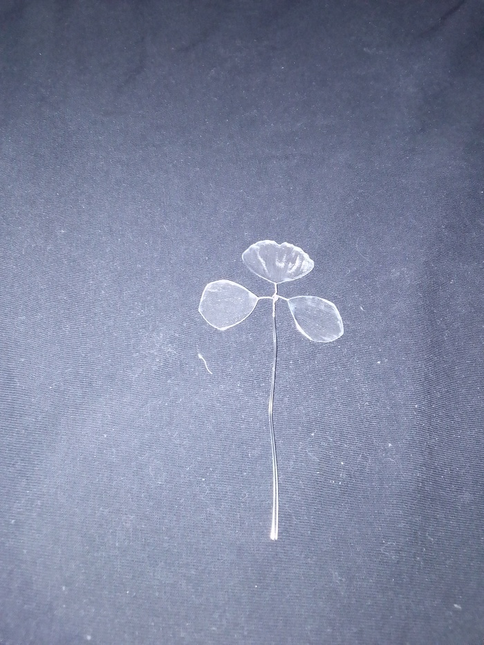 ��������� ��� �������� ������