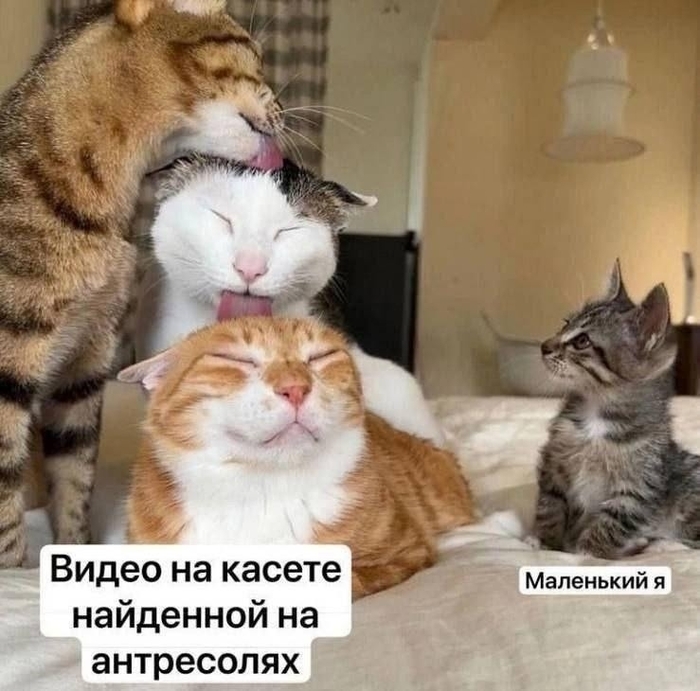 ����? ������?