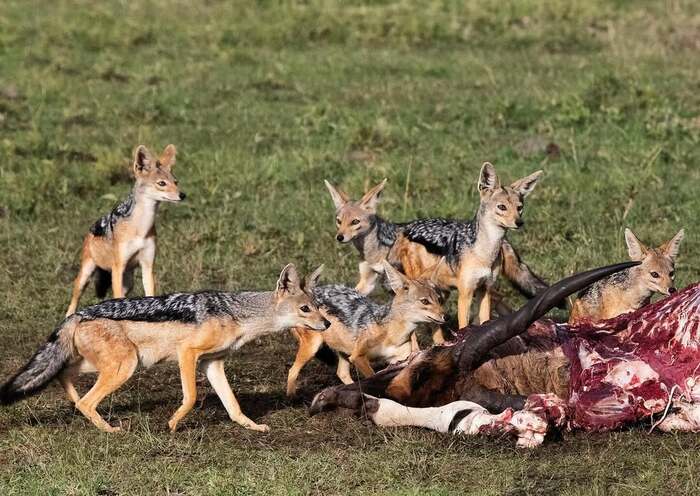 Семейный праздник