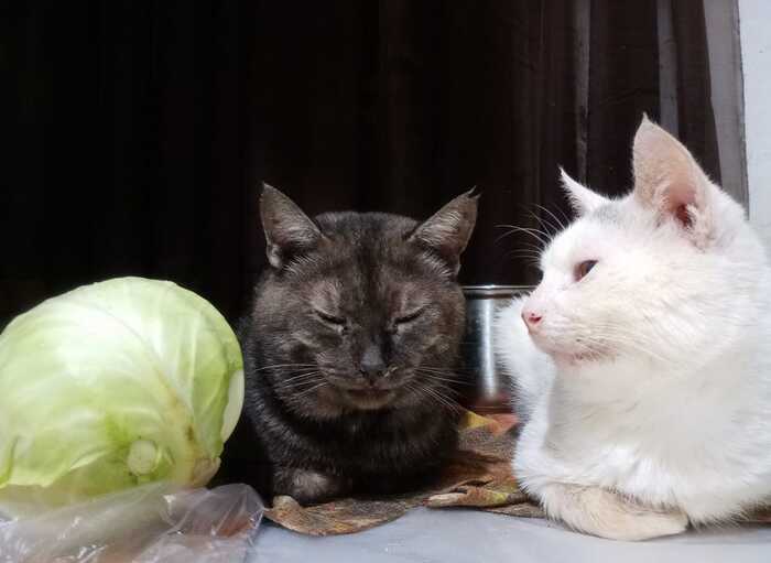 ��������� ❤️❤️❤️@DeadAsOpossum ❤️❤️❤️