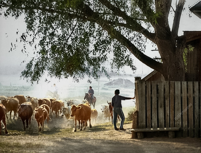 ��������: ������ ������������