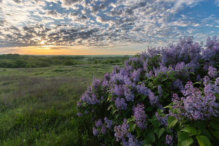 ��������� ����