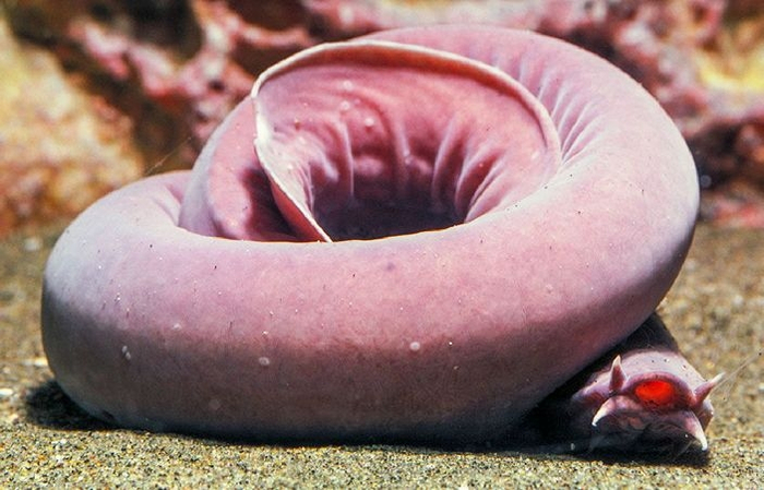 ������������ ������������� ������� ������������ ������ � ������. ��� ��������� ����������� �������� ��������� � �������������