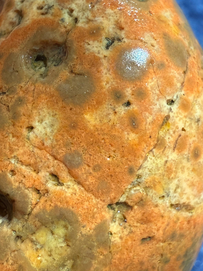 Это что-то осадочное. Мне очень нравится этот градиент рядом с круглыми включениями.