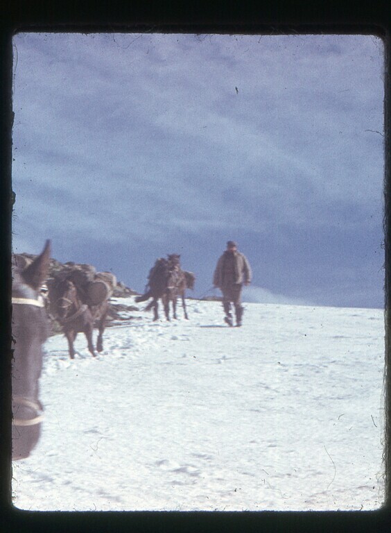 ��� � ������! ����� �� ��������� ������ ��������� ����� (������� �� ������)