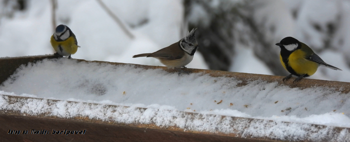 ���������, �������� ������ � ������� ������. ������ ������� ���� ���������� ���������� �� ���������� ������������� - ����, ������ � ������� ;) ������������ ����. ���������� �������� 2026. ���������� �� �������. �������� ������ � ������ �����