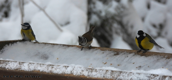 ���������, �������� ������ � ������� ������. ������ ������� ���� ���������� ���������� �� ���������� ������������� - ����, ������ � ������� ;) ������������ ����. ���������� �������� 2026. ���������� �� �������. �������� ������ � ������ �����