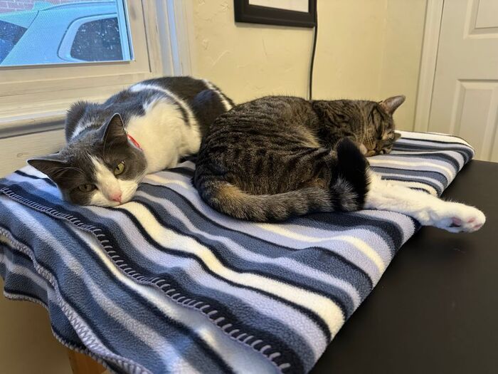 ����� �������