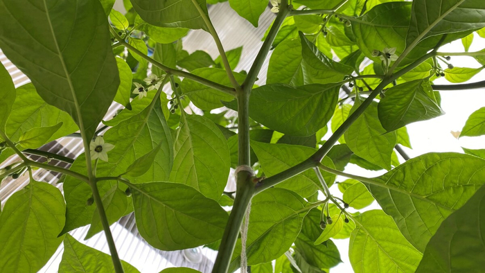 �� �������� ������!