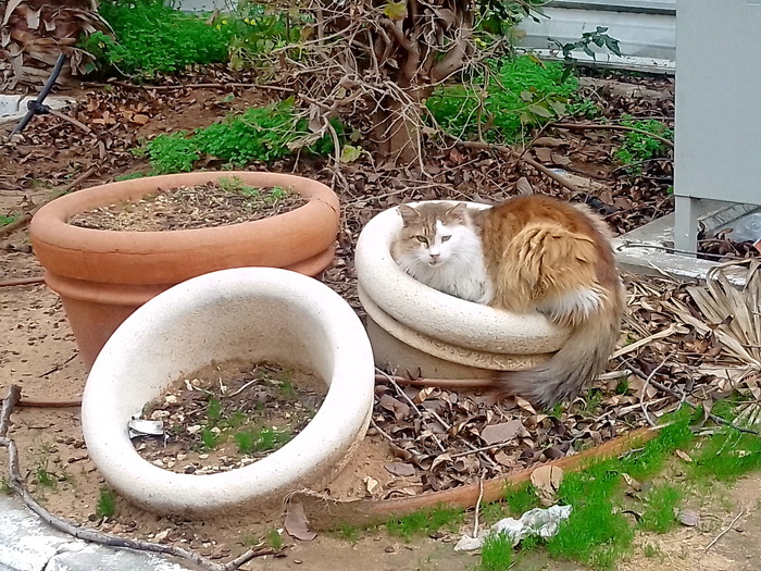 �� ��������