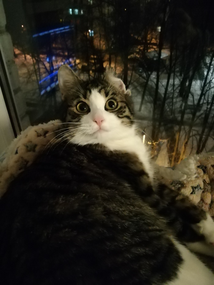 ��� ���, ��� ���?