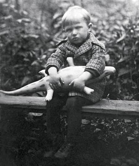 �������� �������� � �������