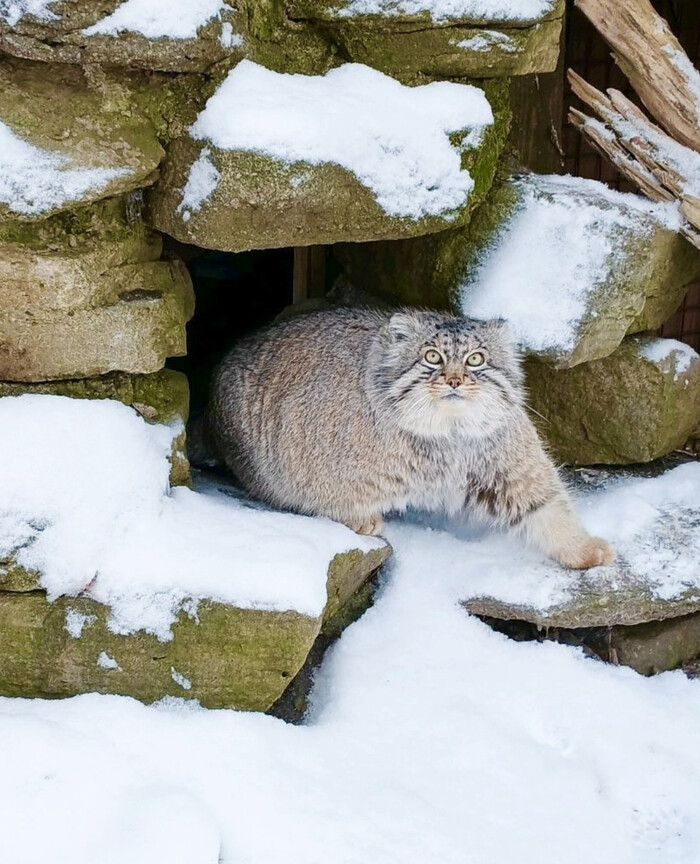 ����� �������� �������!