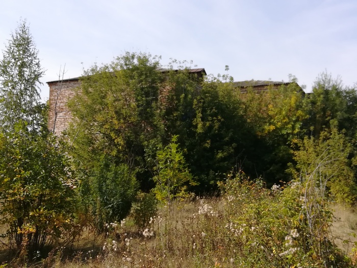 �������� �� 2� ���� � �����, ������� ����� 4 ����, � ������ �� ��� ���������� ������ �� �������, ���������, �� ����, ��� ��� ����������, ������ ���������� ������, ����� ����� ���� ���