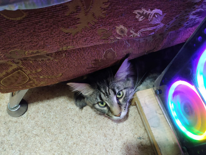 ����� �� ���� ��� ������ ���� ����