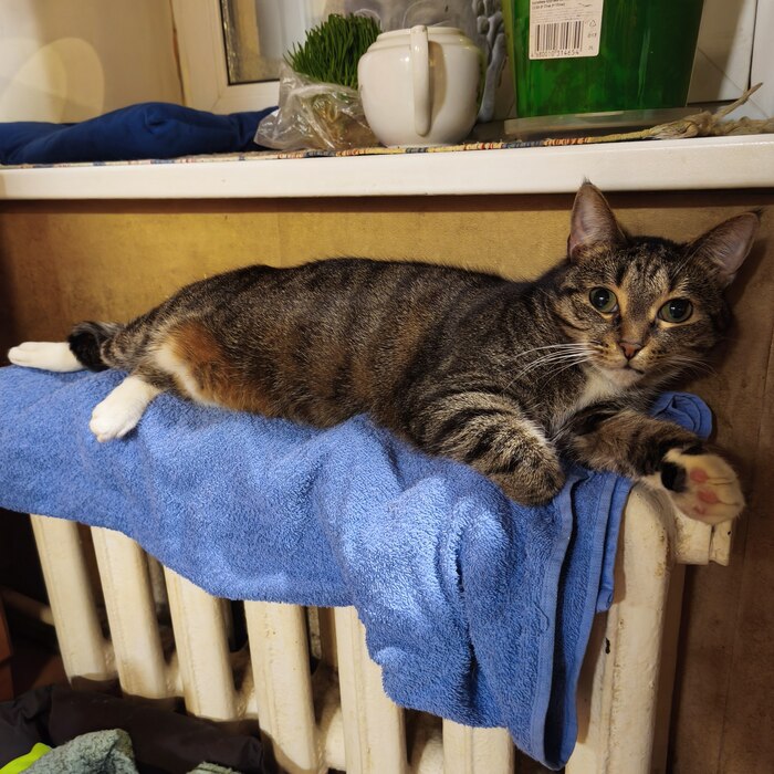 ����� ����...