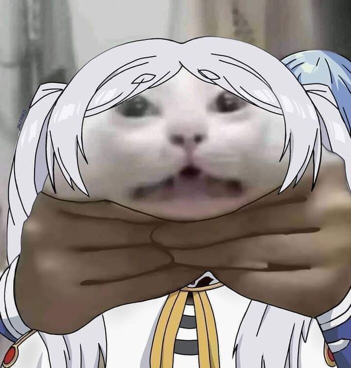 �� ������� �������! ��� ���� �����-����