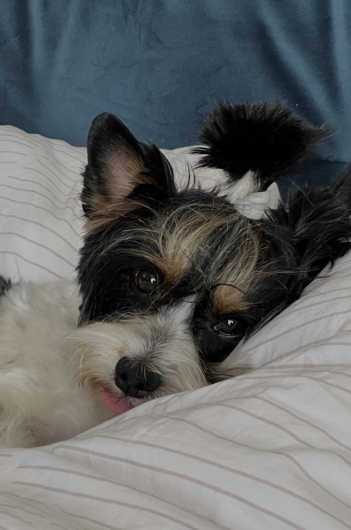 ����� �� ���� ������������� ������ ����� ���� "�"�