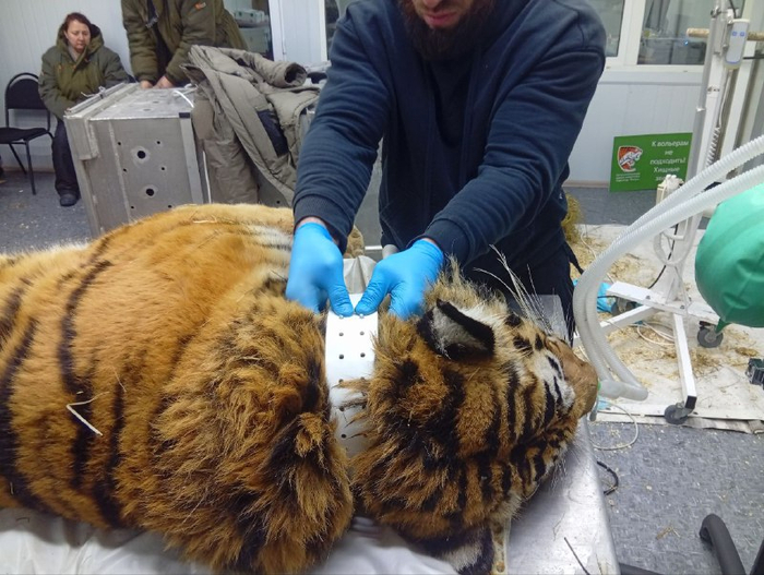 Продолжение поста «Четвертая»