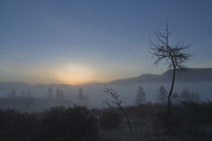 20. �������, ����� ��. ������