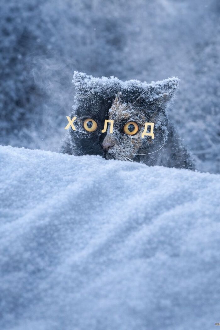 �� ����� ���