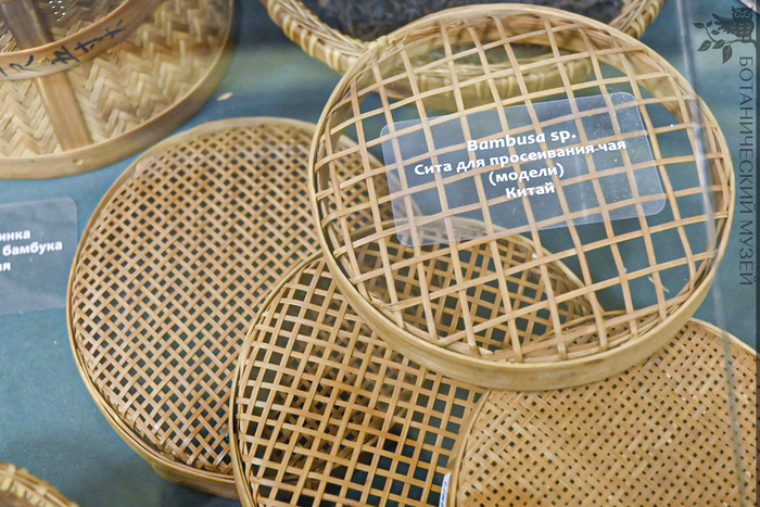 ����, �������� ��� ����������� ��� (������). �� �.�. �����������. ��������� ������������� �������� ������������� ����� ��� ���.