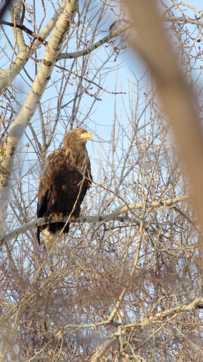 �������� ��� ����� �� �����: <!--noindex--><a href="https://pikabu.ru/story/orlanbelokhvost_13623711?u=https%3A%2F%2Fdzen.ru%2FBirdman&t=https%3A%2F%2Fdzen.ru%2FBirdman&h=632c0cfa3674fa551d720d7d56d0925aff3ba6b9" title="https://dzen.ru/Birdman" target="_blank" rel="nofollow noopener">https://dzen.ru/Birdman</a><!--/noindex-->