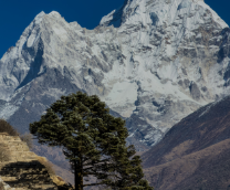 ���������� ��������