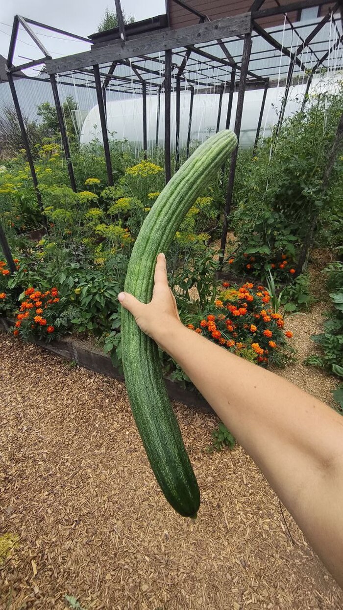 ���������� ��������