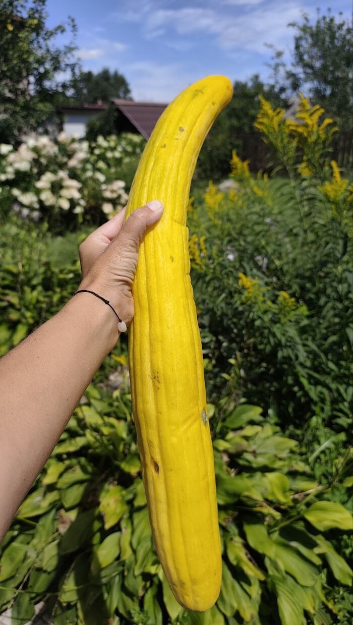 ���������� ������