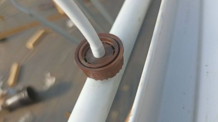 Пример капельного полива