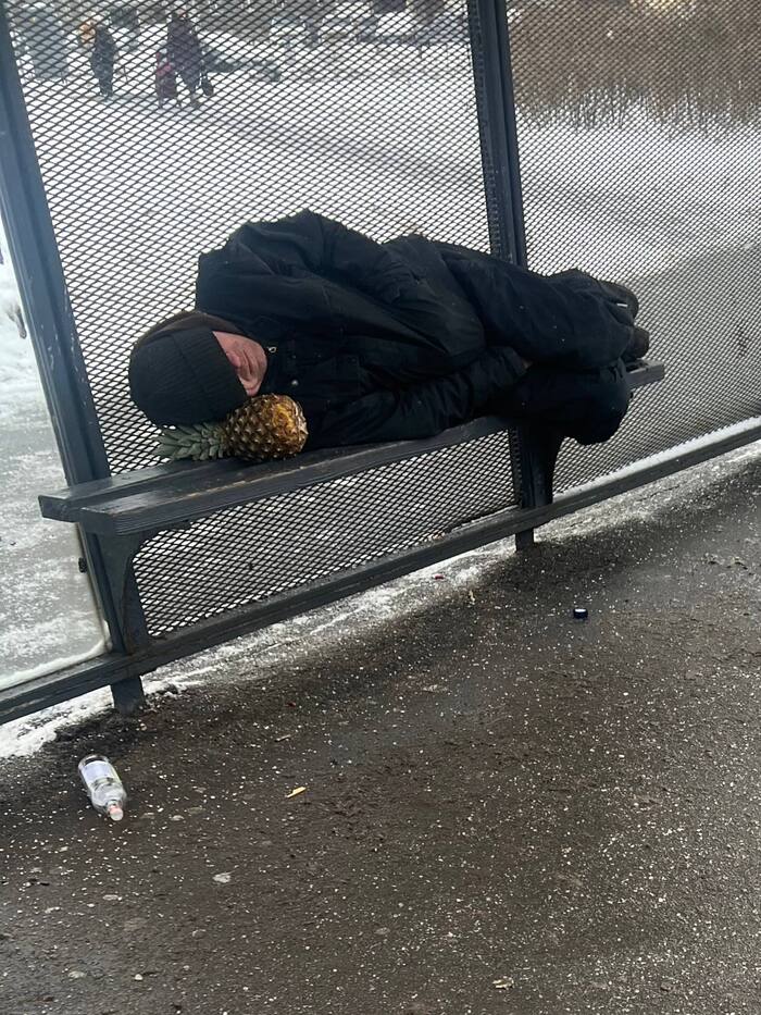 Просто бомж спит на ананасе