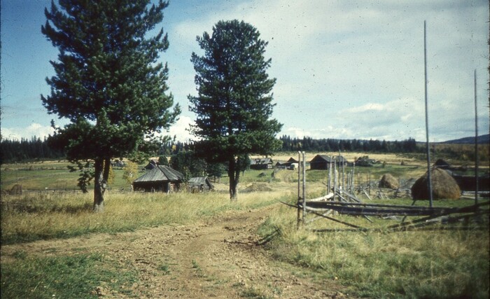 ¸�� - ��������� ������ �� ������� ������ ���� ¸���. ������, � ������ ������� ��� ���� � �������� ����������: �����, ¸�� � ���, �.�. �������, �������, ������. �� ����� �������������� � ���������� ����-������ )))