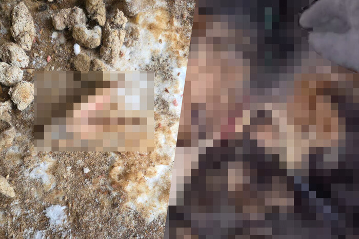 � ������ ������������������ ����� ������ � ������ ��������� �������� ����� ����� ����� � �����